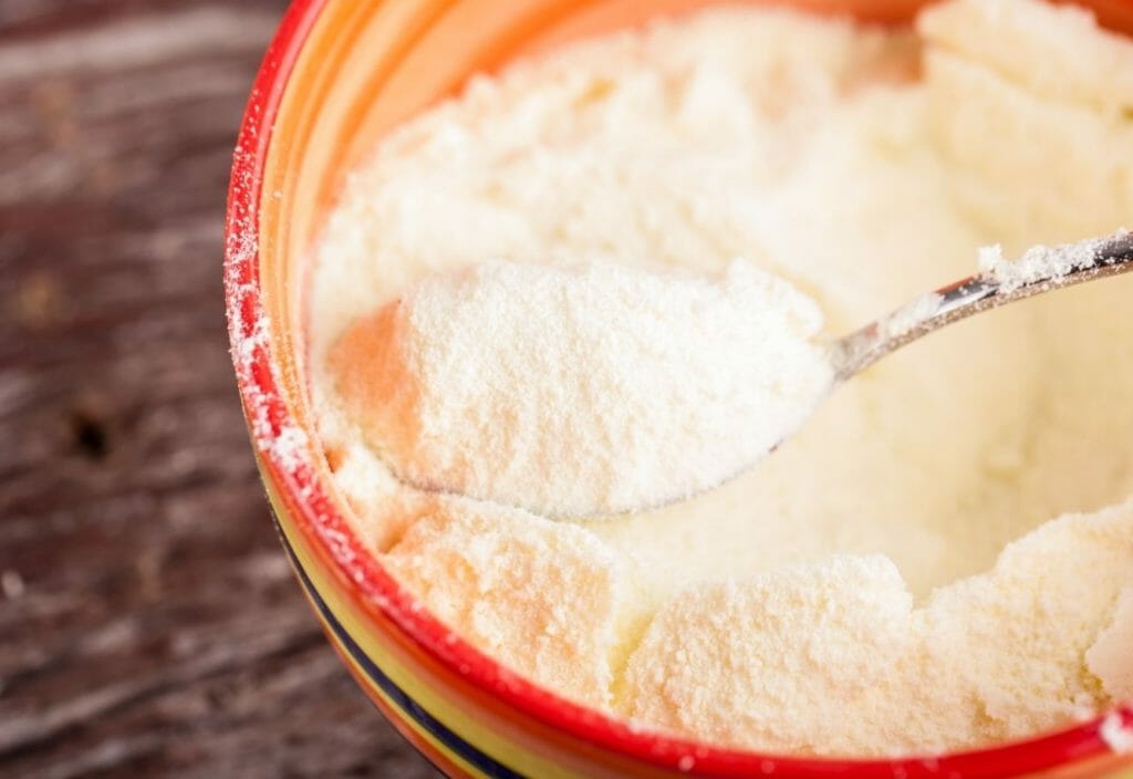 10 Best Malt Milk Powder Substitutes