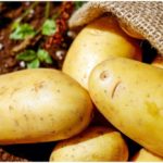 Can You Eat Potatoes That Are Undercooked?