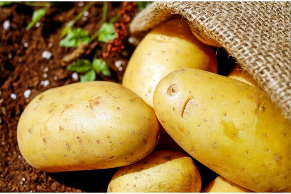 Can You Eat Potatoes That Are Undercooked?