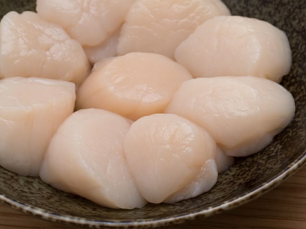 Can You Eat Raw Scallops