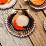 Can You Eat Raw Scallops?
