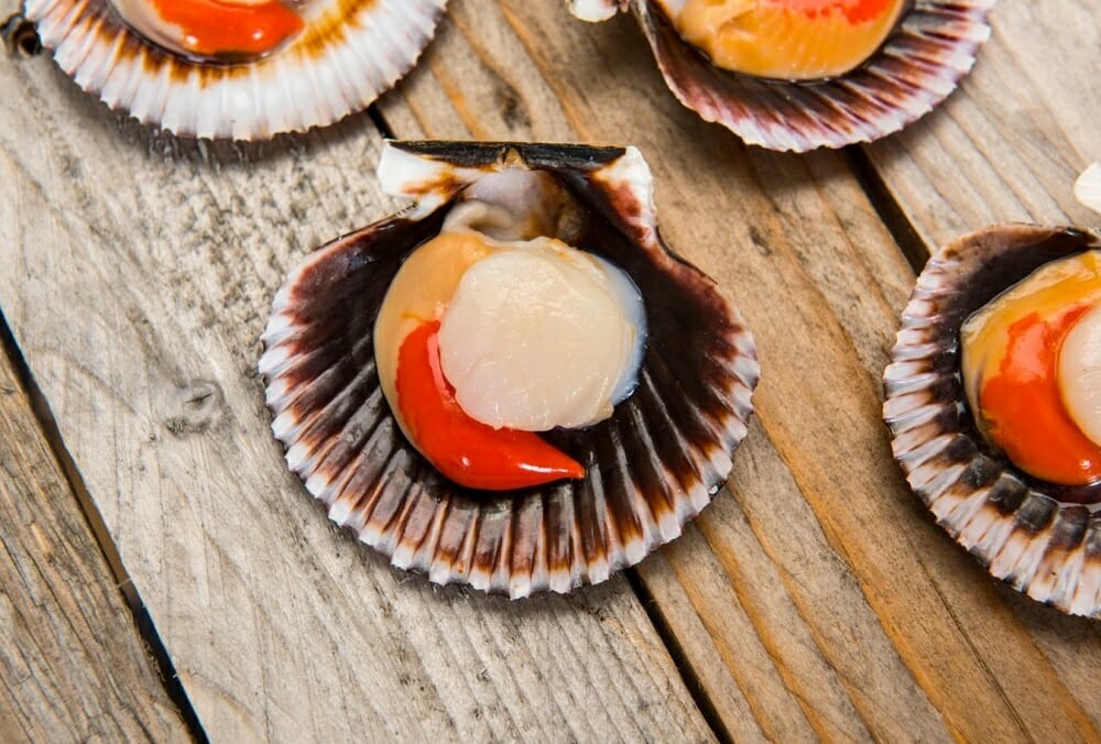 Can You Eat Raw Scallops1