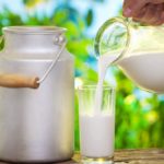 Homogenized Vs Whole Milk: A Comparison