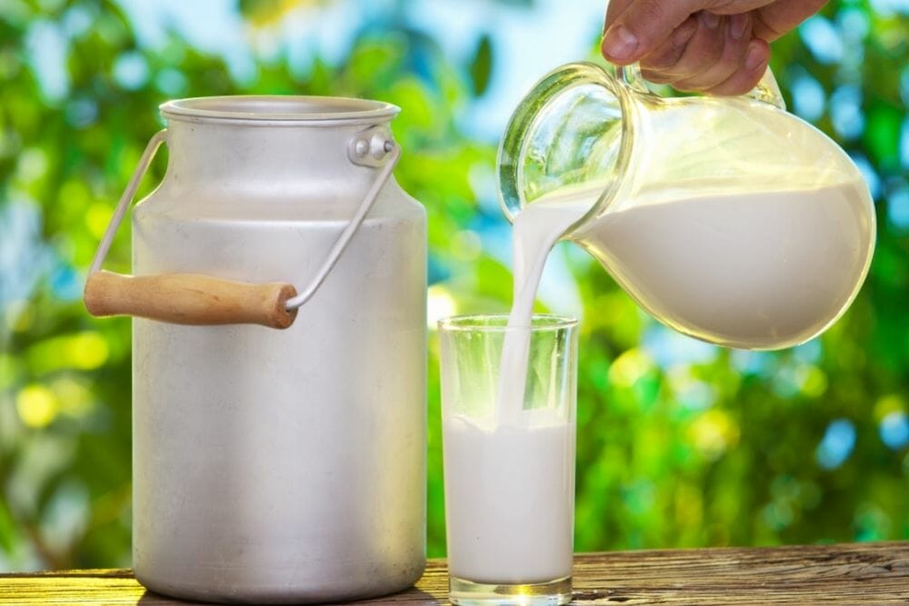 Homogenized Vs Whole Milk: A Comparison
