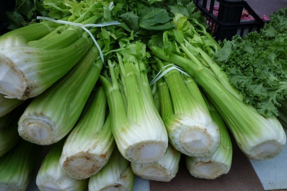 How To Select A Celery Substitute