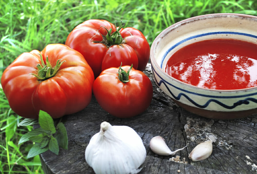 Making A Homemade Tomato Sauce