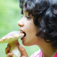 Should You Eat Mushrooms Raw