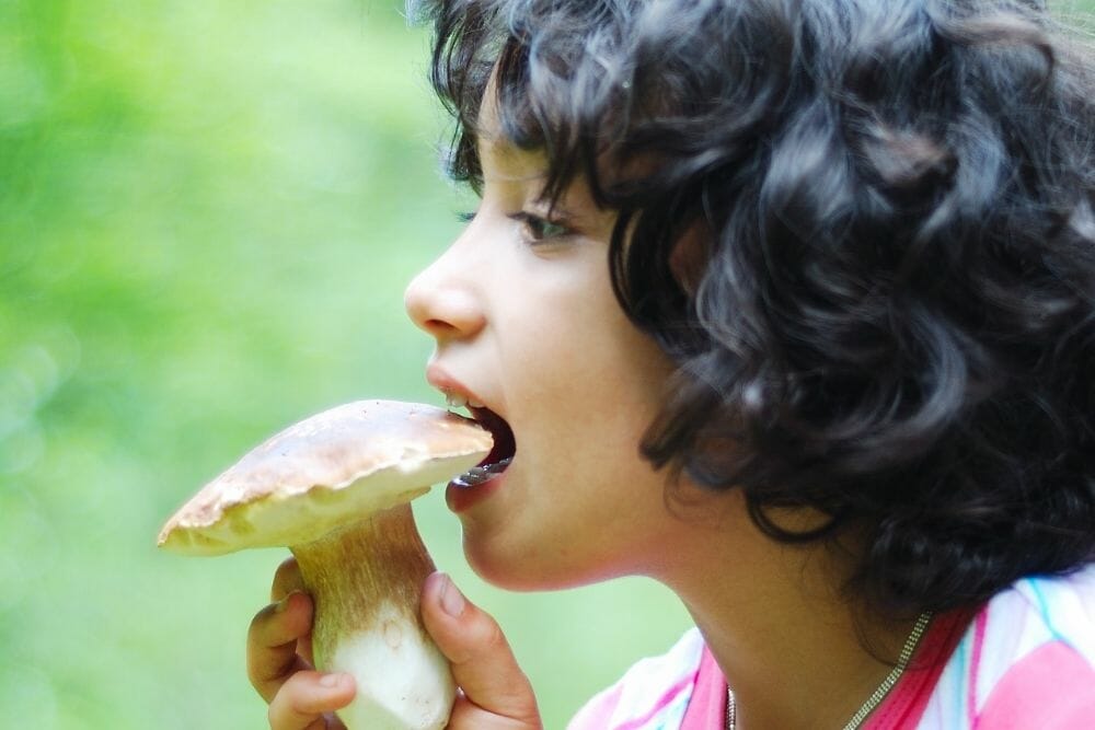 Should You Eat Mushrooms Raw