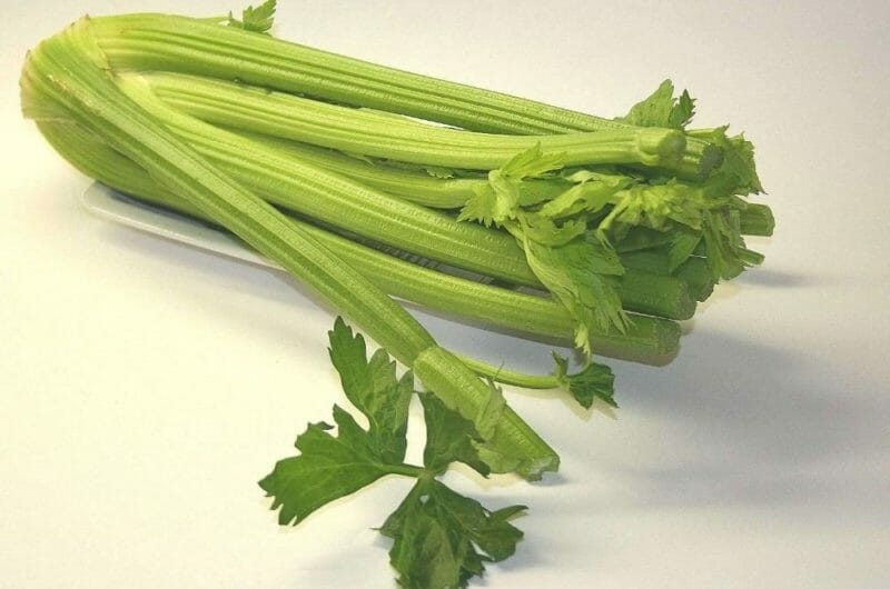 20 Best Substitutes For Celery