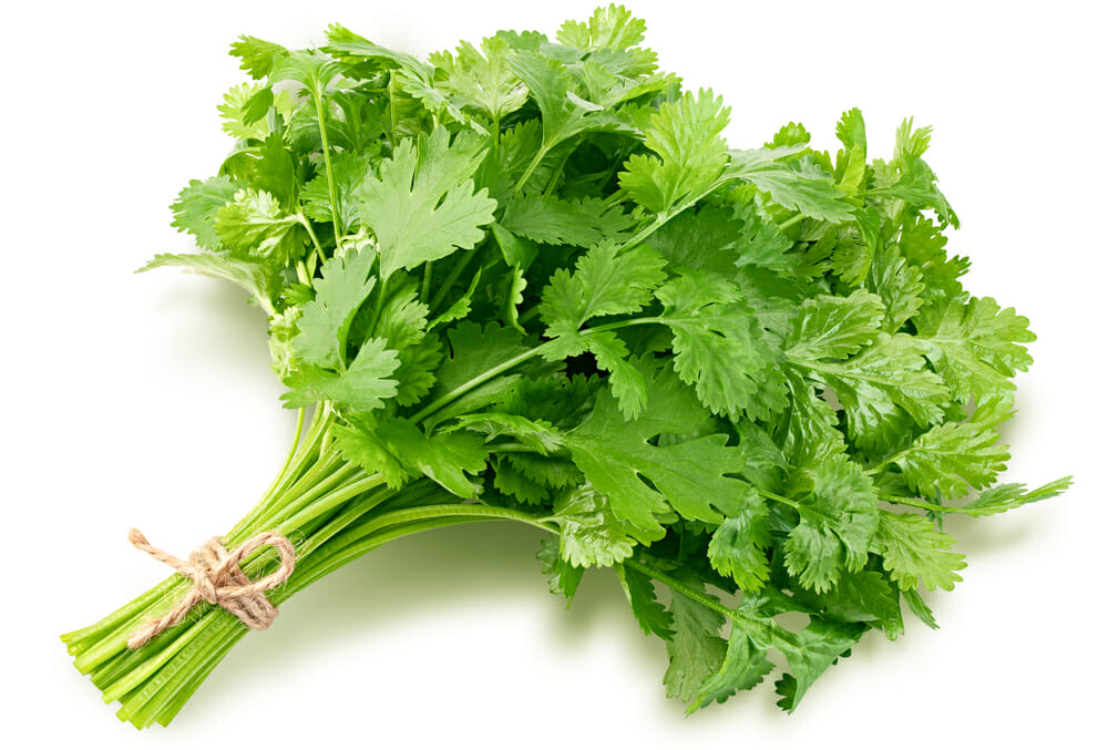 The Best Alternatives For Coriander: A Complete Guide