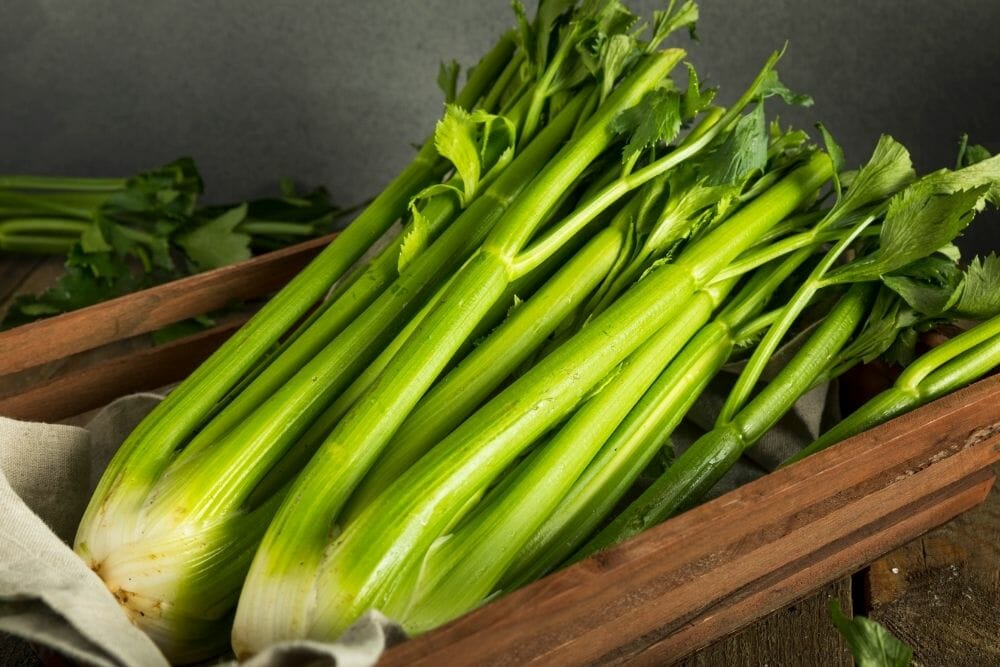 The Best Celery Substitutes