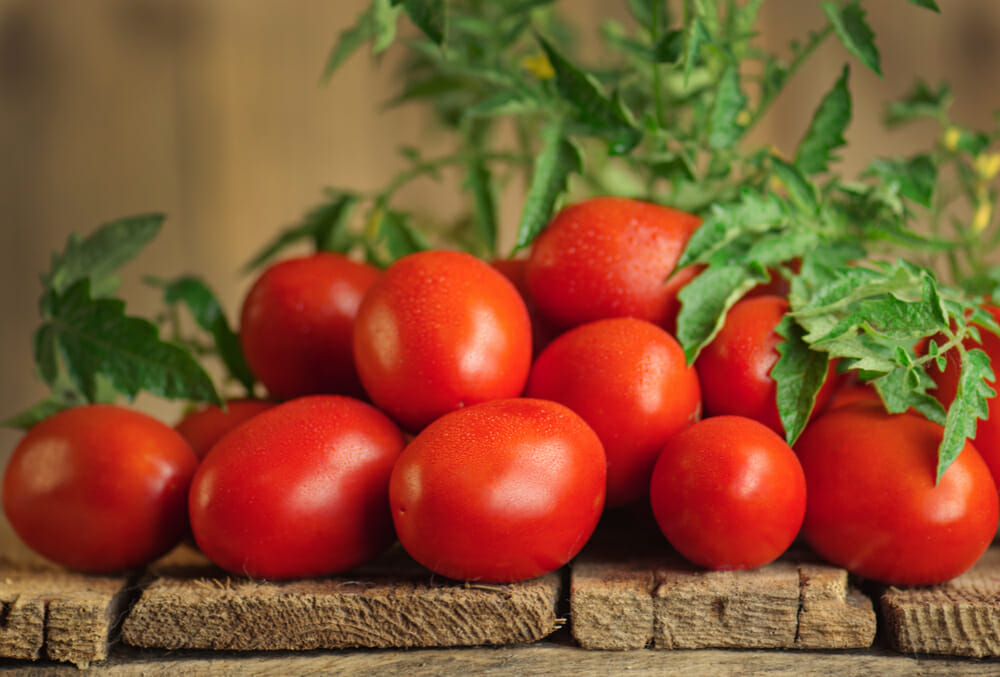 Tomatoes Roma Versus Plum