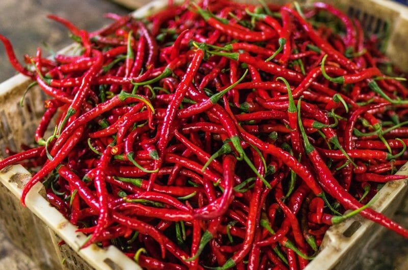 What Are The Best Red Chili Pepper Substitutes?