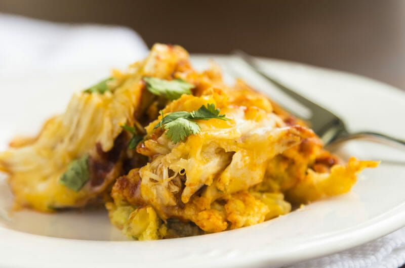 5 Outstanding Shredded Chicken Enchilada Recipes