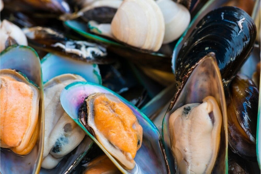 How Long Do Raw Mussels Last In The Freezer