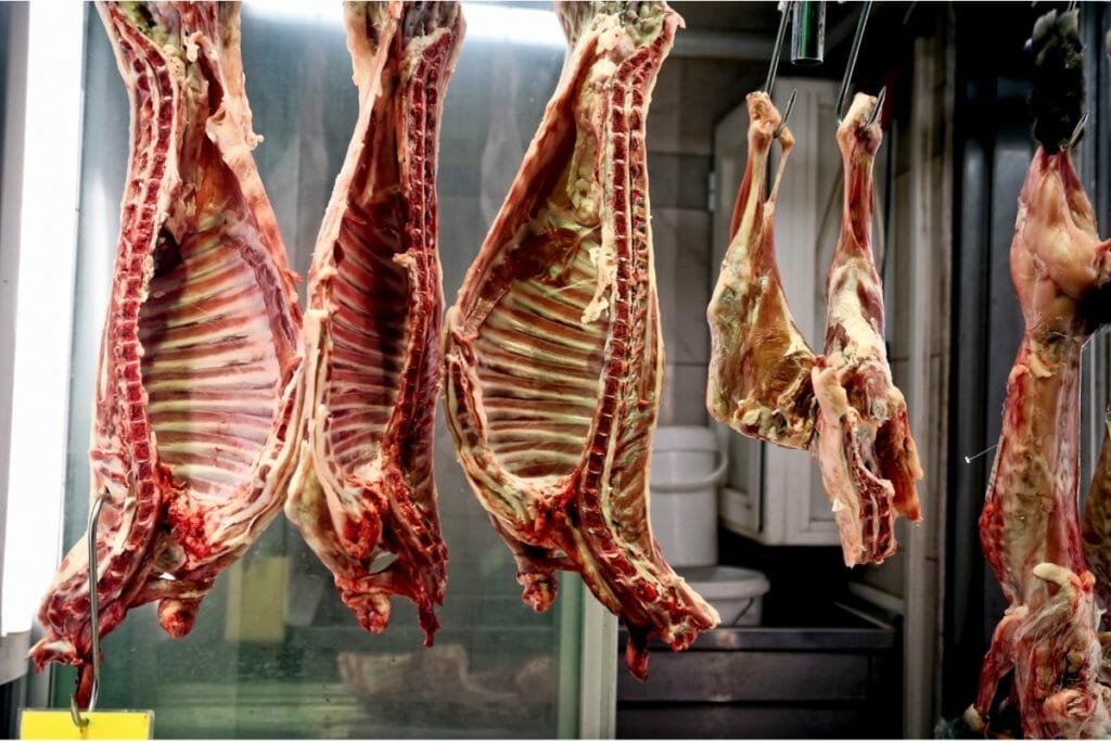 How Long To Hang A Deer For the Tenderest Meat
