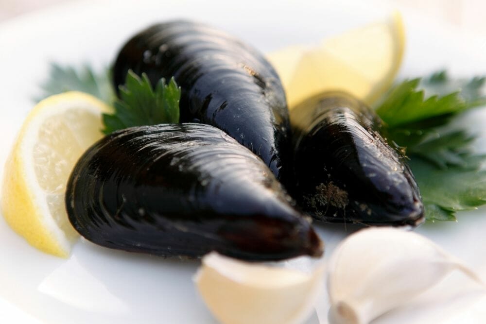 How Should You Put Mussels Into The Freezer