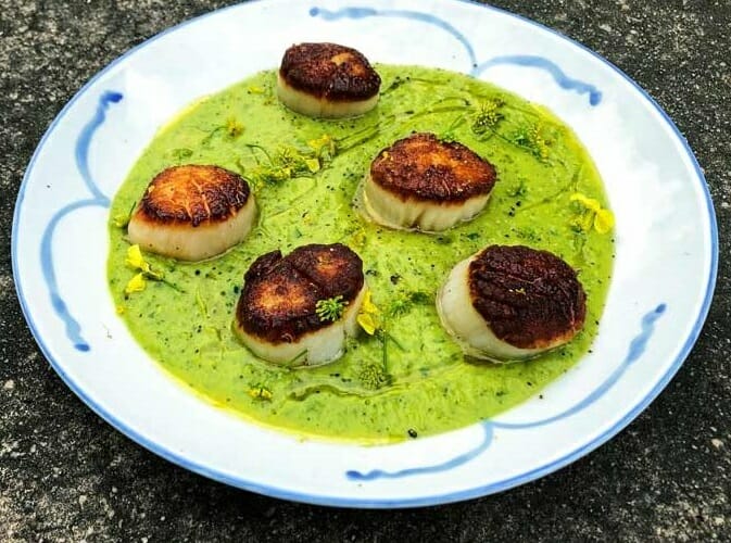 Pea Soup With Turmeric And Scallops