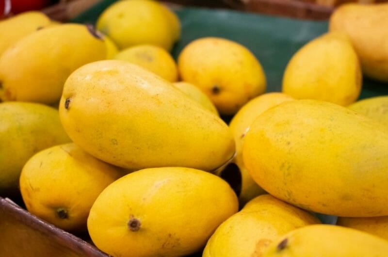 The 20 Best Mango Recipes