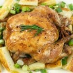 35 Perfect Leftover Chicken Recipes To Cook In Kitchen