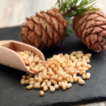 Why Are Pine Nuts So Expensive (The Different Reasons)
