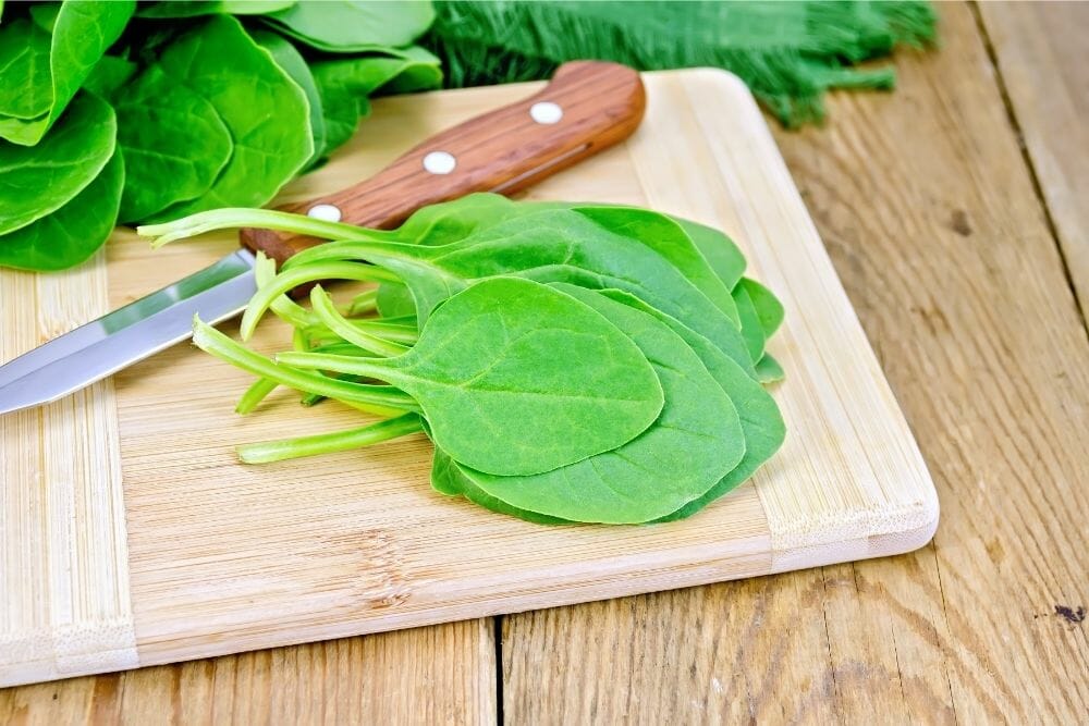 Can you Eat Spinach Stems