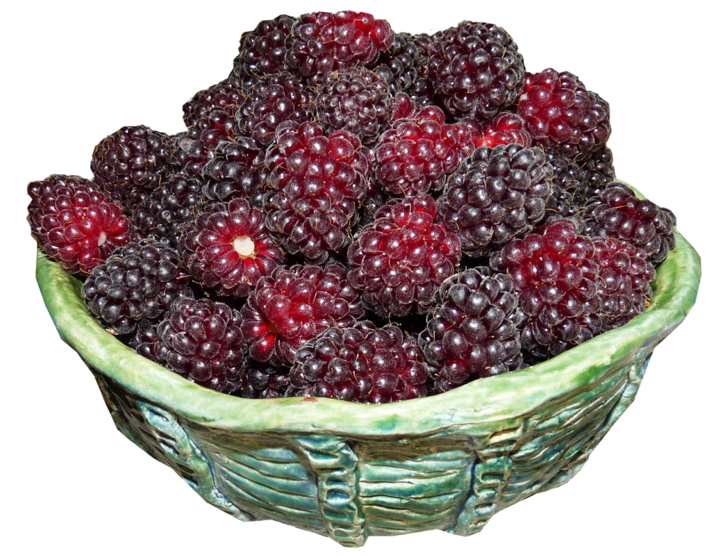 Loganberry - foods that start with L