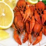What Does Crawfish Taste Like (Does It Taste Like Lobster)
