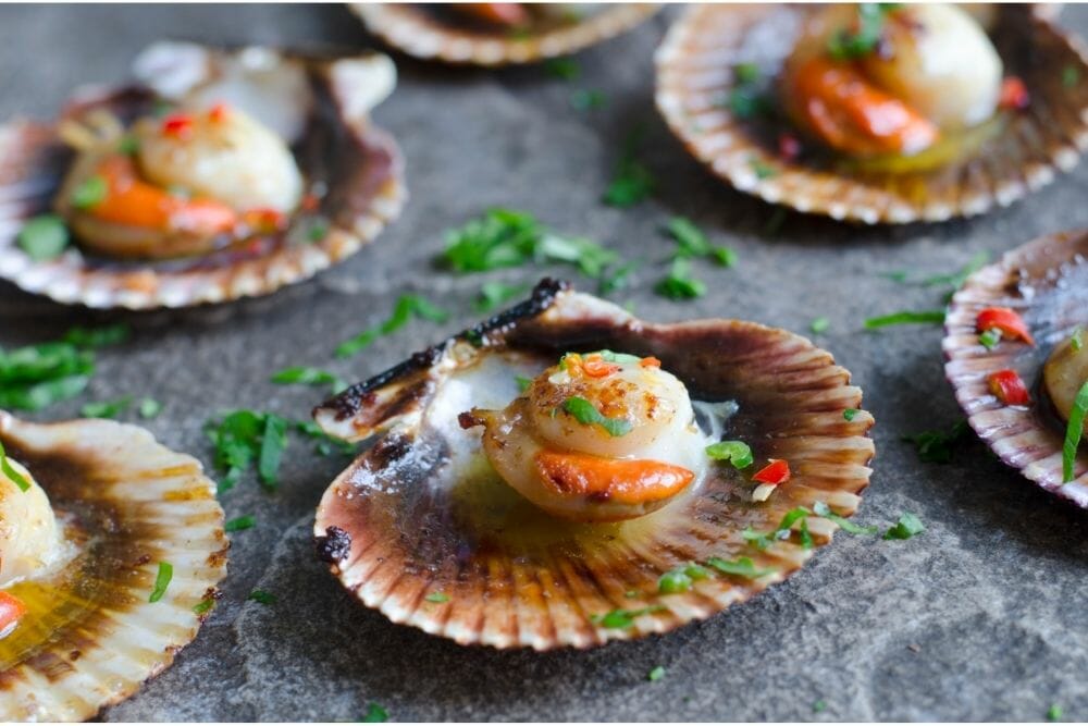What Type Of Scallops Are Available In The United States