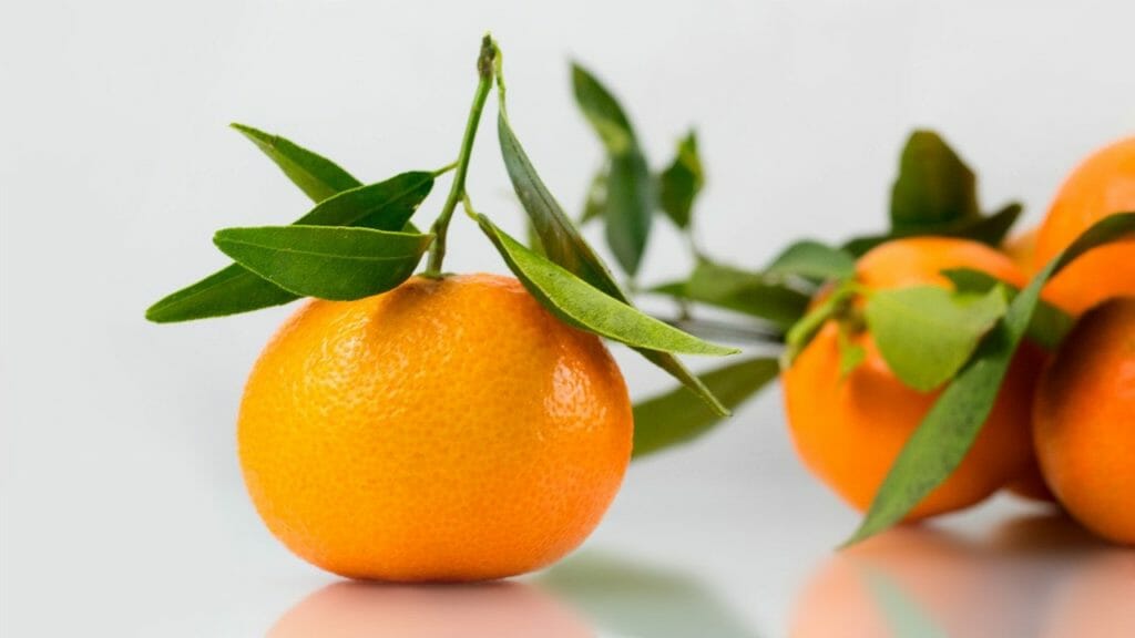 Clementine - foods that start with C