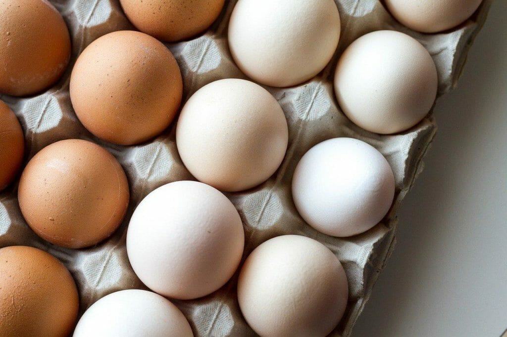 Eggs - foods that start with E