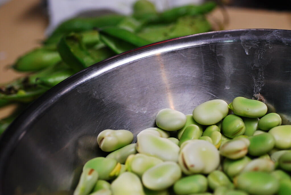 Fava beans - foods that start with F