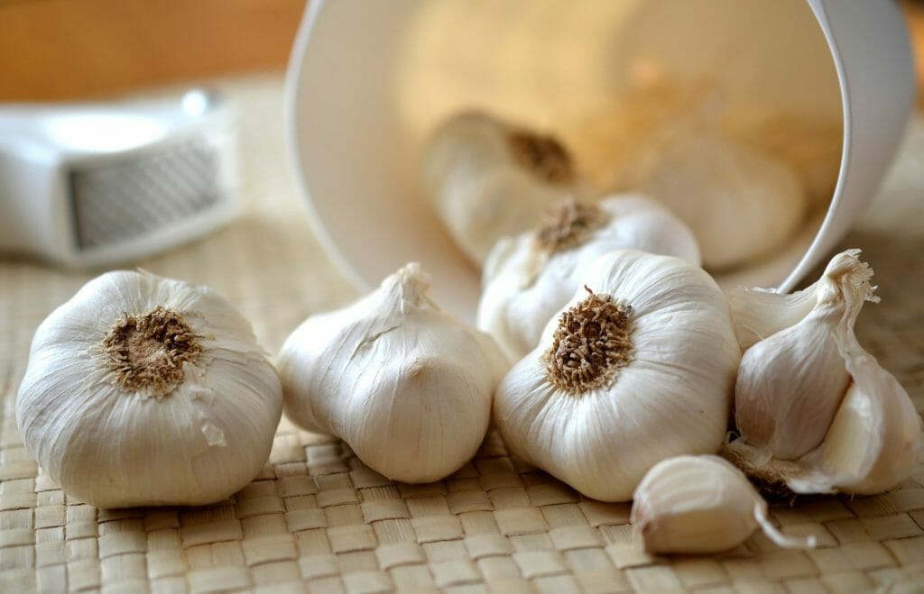 Garlic - foods that start with G