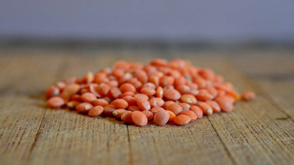 Lentils - foods that start with L