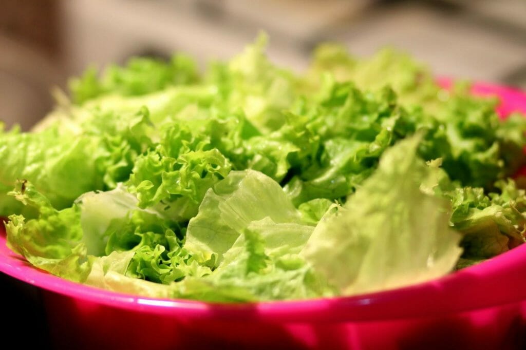 Foods that start with L - Lettuce