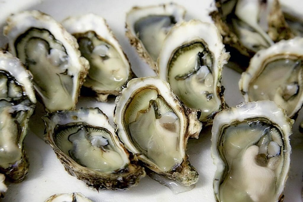 Oysters - foods that start with O