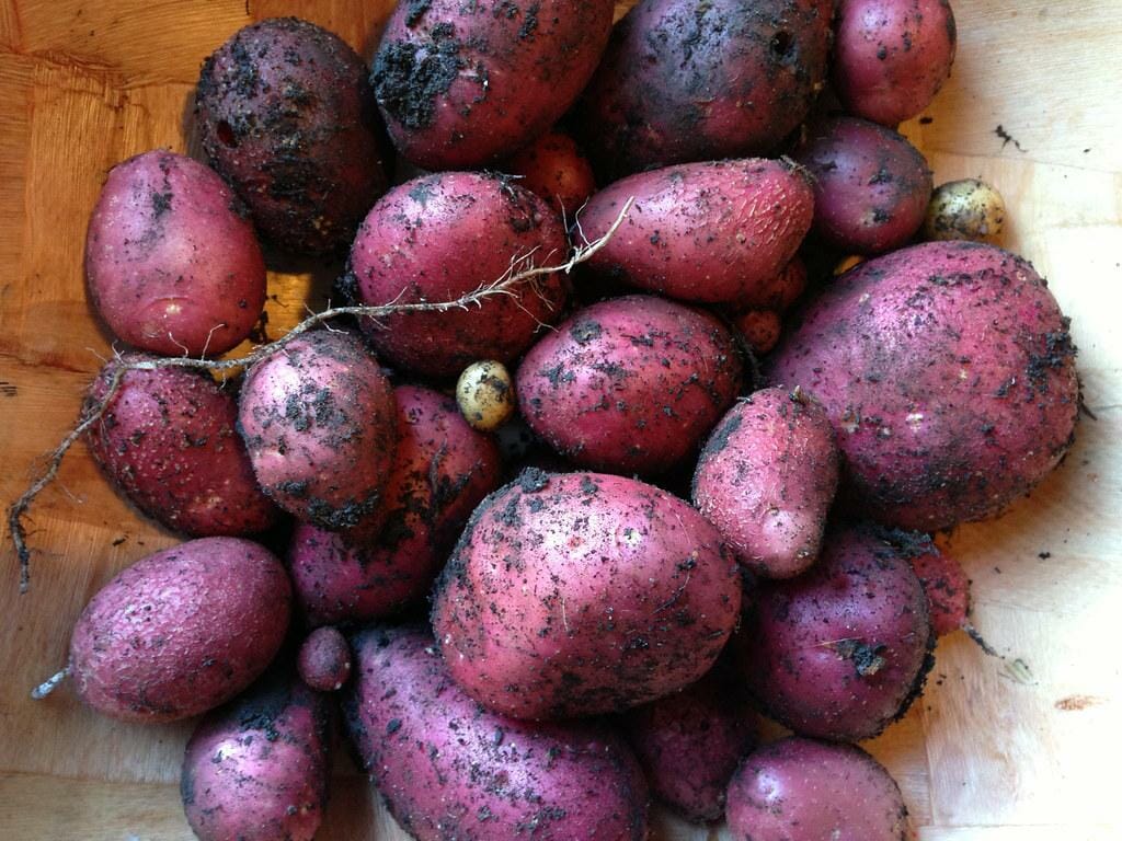 Viking Potatoes - foods that start with V