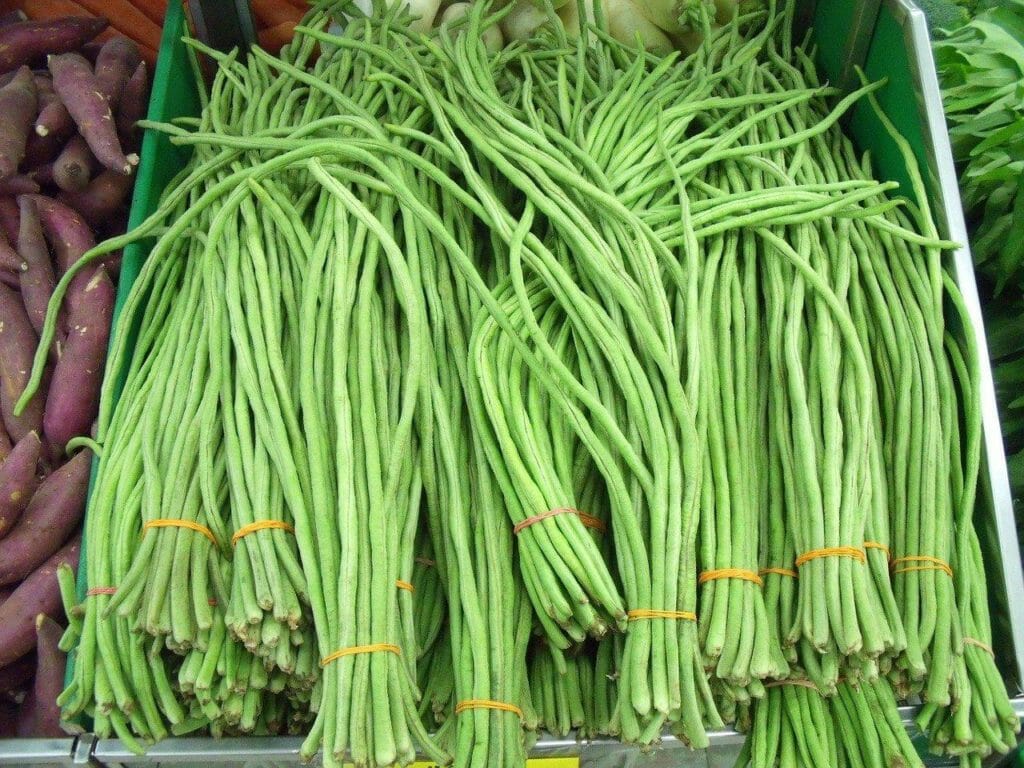 Yardlong Beans - foods that start with Y