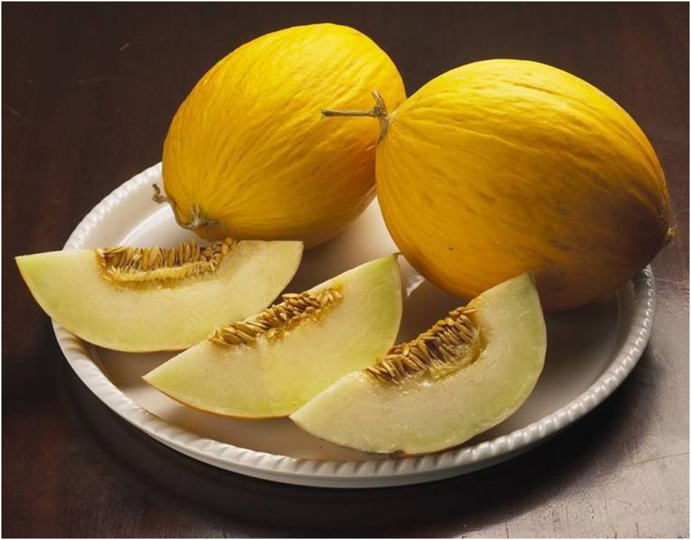 Canary melon - fruits that start with C