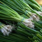 What is the Proper Way to Cut Green Onions?