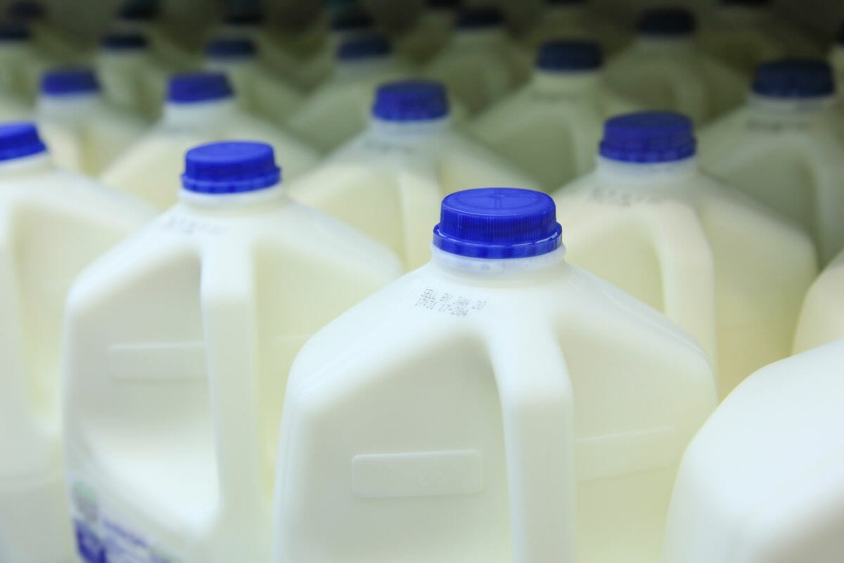 How Heavy Is One Gallon Of Whole Milk?