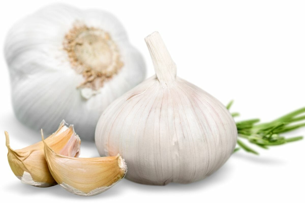 How Many Teaspoons Is Equivalent To Two Cloves Of Garlic?