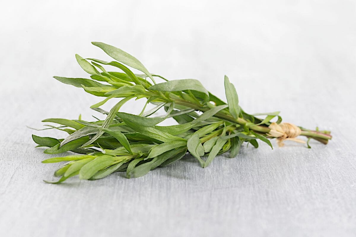 How Much Is A Sprig? Defining What A Sprig Is For Different Herbs
