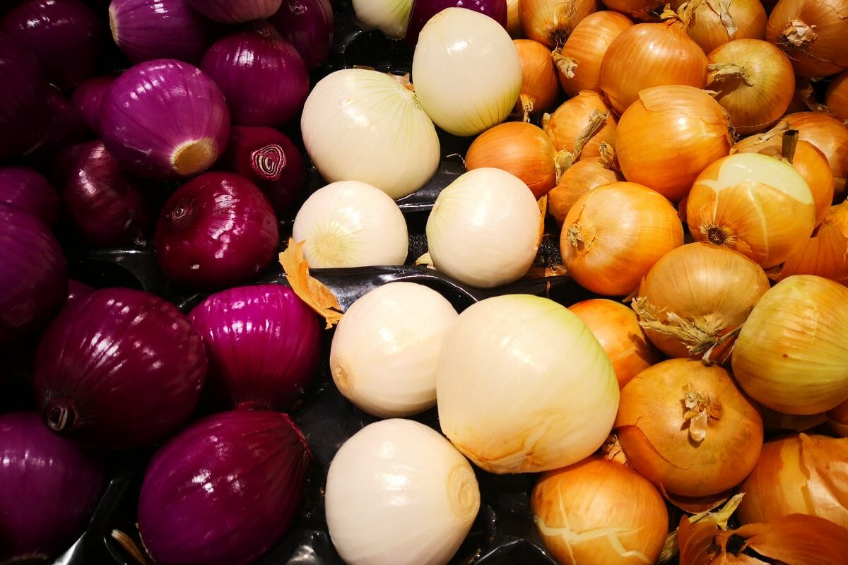 Spanish Onions: The Differences Between Them And Sweet, Red, White, And Yellow Onions