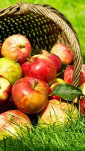 The Sweetest Apples Ranked In Order