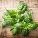 <strong>8 Best Basil Alternatives That You Should Know To Use In Next Cooking</strong>