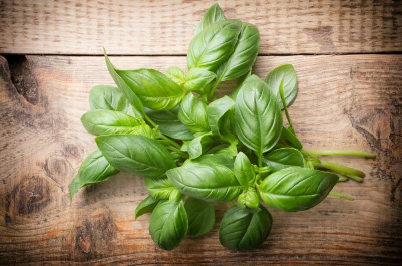 The Best Basil Substitutes (8 Alternatives You Should Know)