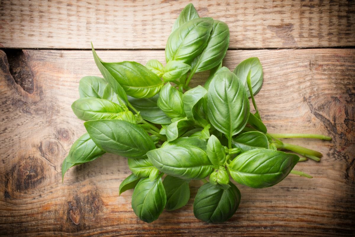 The Best Basil Substitutes (8 Alternatives You Should Know)