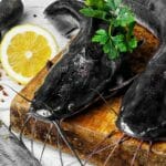 The Taste Of Wild Catfish Vs Farmed Catfish