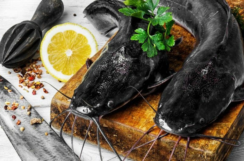 Ultimate Wild Catfish Vs Farmed Catfish Recipes